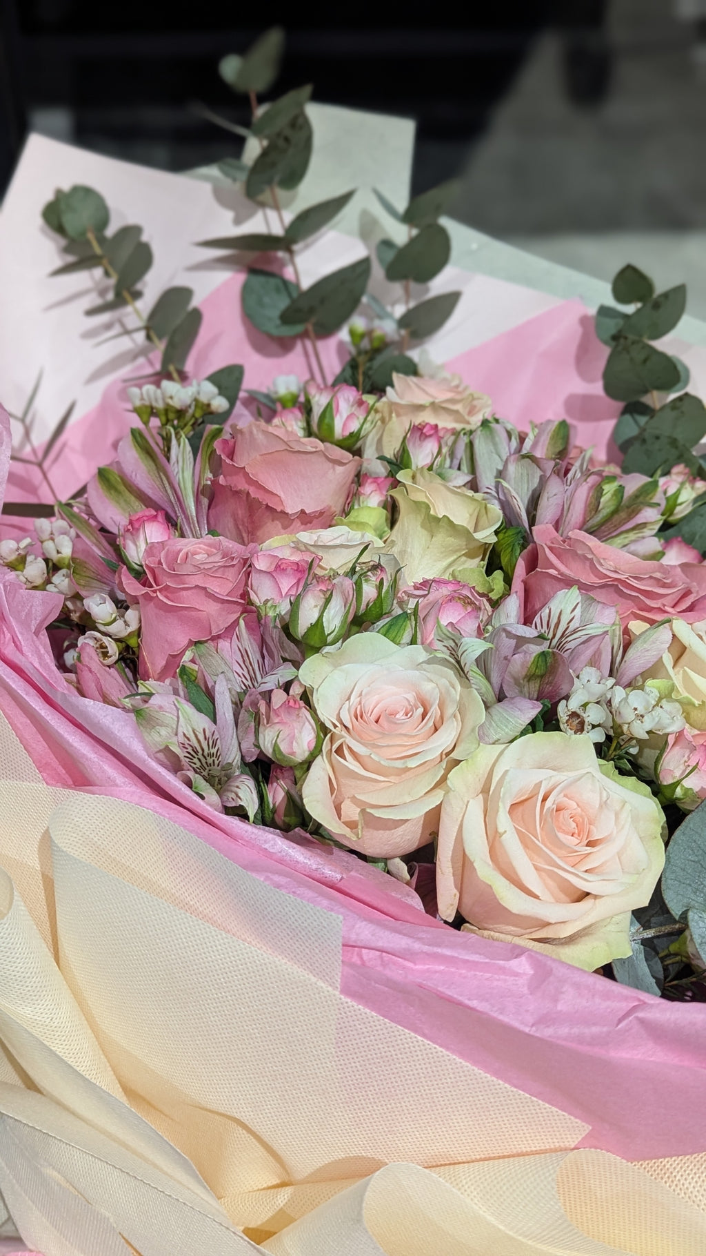 Pink roses